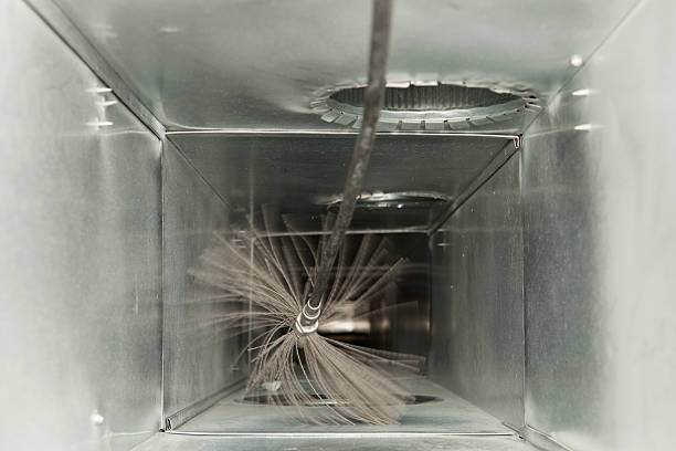 Best Professional Duct Cleaning Services  in Muse, PA