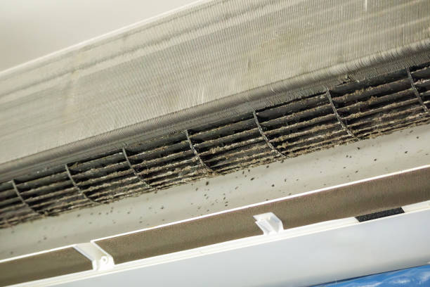 Best Air Duct Sanitizing Services  in Muse, PA
