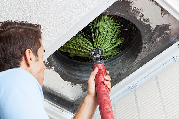 Best Home Air Vent Cleaning  in Muse, PA